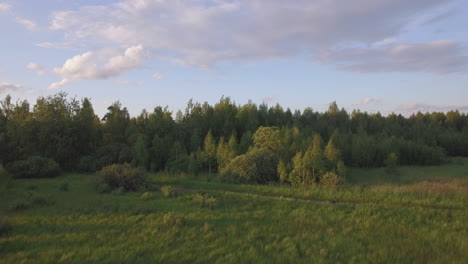 Luftaufnahme-Eines-Grünen-Waldes-Mit-Verschiedenen-Bäumen,-Rasenfläche-Vor-Blauem-Himmel-Bei-Tageslicht