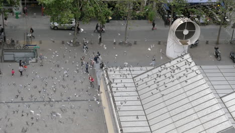 Eine-Große-Anzahl-Von-Tauben-Fliegt-Um-Den-Platz-In-Paris-Herum