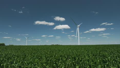 Cinematic-view-of-Iowa's-modern-wind-turbines-over-serene-summer-cornfields