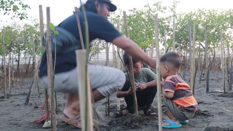 Indonesien-–-12.-November-2023:-Indonesischer-Mann-Begleitet-Seine-Kinder,-Um-Zu-Lernen,-Mangrovenbäume-Zu-Pflanzen