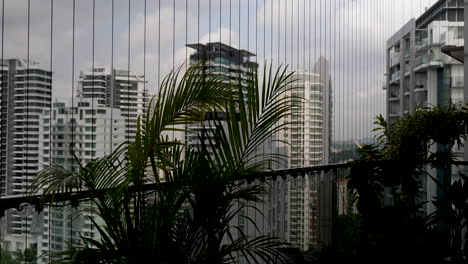 Wind-Blowing-Across-Areca-Palm-Plant-Leaves-On-High-Rise-Balcony