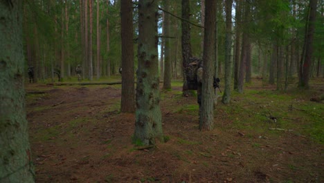 Soldaten-Auf-Einer-Mission-Gehen-Tagsüber-Durch-Den-Wald-Und-Arbeiten-Im-Team