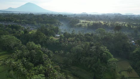 Vulkan--Und-Reisterrassenszene-In-Der-Nähe-Von-Ubud-Auf-Bali,-Indonesien