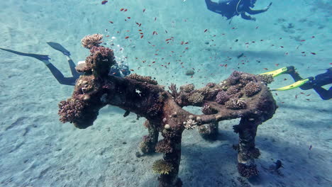 Underwater-sculpture-covered-in-coral-and-tropical-fish