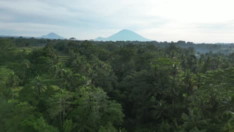 Blick-Auf-Den-Vulkan-Mit-Dschungelumgebung-In-Der-Nähe-Von-Ubud-Auf-Bali,-Luftaufnahme
