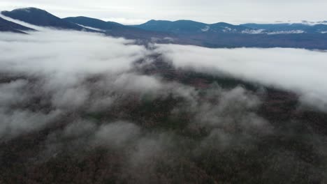 Forest-with-fog-and-mountains-with-snow,-Mount-Washington,-New-Hampshire,-USA