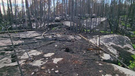 very-low-drone-view-of-scorched-ground-after-a-wild-fire-in-Canadian-wilderness