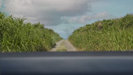 Car-moving-along-a-secluded,-bumpy-and-narrow-road-with-tall-grass