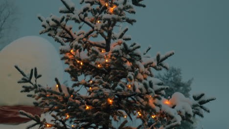 Evening-view-of-Christmas-tree-with-lights