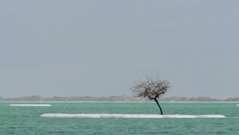 Paisaje-Acuático-Del-Mar-Muerto-Con-Islotes-Salados