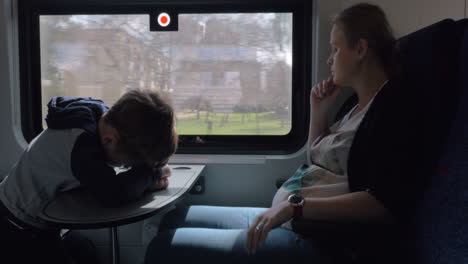 Pregnant-woman-with-child-having-train-journey