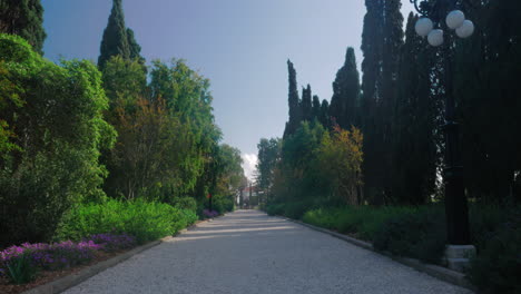 Parkway-in-Bahai-garden-Acre-Israel