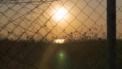 Sunset-behind-the-wire-mesh