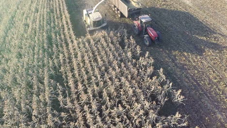 Aerial-shot-of-wheat-harvesting-in-the-field