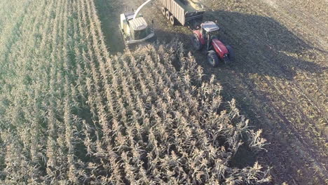 Toma-Aérea-De-La-Cosecha-De-Trigo-En-El-Campo