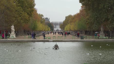 Los-Pájaros-Nadan-En-Una-Fuente-Dentro-Del-Jardín-De-La-Place-Du-Carrusel-Cerca-Del-Palacio-Del-Louvre.