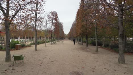 El-Corredor-Parisino-Corre-En-El-Jardín-Place-Du-Carrusel-A-Primera-Hora-De-La-Mañana-Del-Otoño.