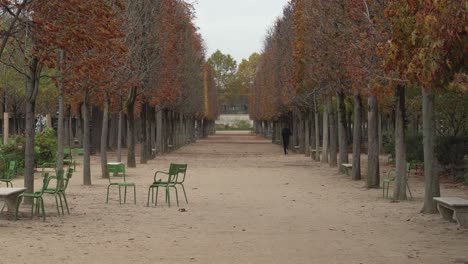 El-Corredor-Parisino-Corre-En-El-Jardín-Place-Du-Carrusel-En-Las-Primeras-Horas-De-La-Mañana-Lluviosa-De-Otoño.