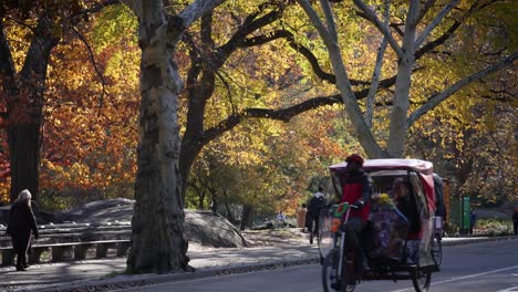 A-fairy-tale-in-Central-Park