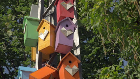 Colorful-birdhouses-in-the-park