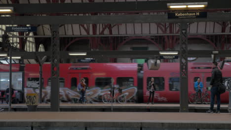 Llegando-El-Tren-A-La-Estación-Central-De-Copenhague