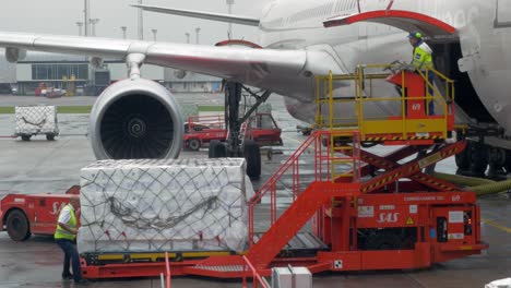 Cargar-Carga-En-La-Bodega-De-Equipaje-Del-Avión