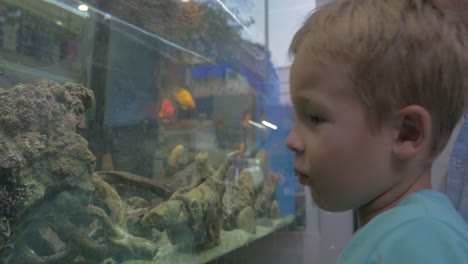 In-city-of-Thessaloniki-Greece-father-and-son-looking-at-aquarium-with-fish