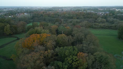 Strafing-aerial-drone-shot-over-the-trees-and-pasture-in-a-farmstead-in-the-outskirts-of-Thetford,-located-east-of-London-in-United-Kingdom
