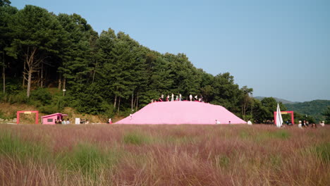People-Sand-Boarding-On-Hill-Of-Pink-Sand-At-Pink-Muhly-Farm