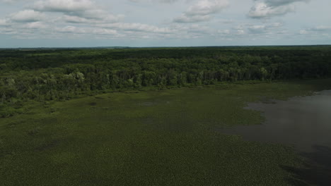 Unpolluted-Mire-Wetland-With-Lush-Vegetation-Near-Lamar-In-Barton-County,-Missouri,-United-States