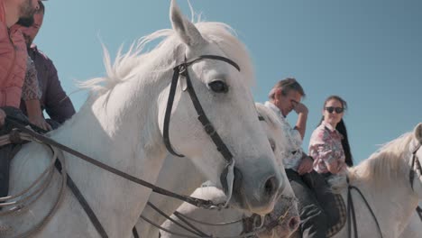 Zeitlupen-Nahaufnahme-Von-Gesattelten-Pferden-Mit-Cowboys,-Die-Während-Der-Feria-Reiten