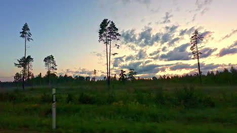 left-to-right-pan-shot-of-a-green-grassy-landscape-with-few-tall-trees-having-a-nice-sunset-in-the-background