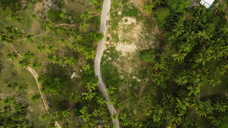 Traffic-on-rural-road-in-koh-samui,-Thailand,-downwards-aerial