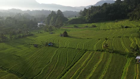 A-golden-sunrise-over-rice-fields-in-the-East-of-Bali-near-Sidemen,-aerial