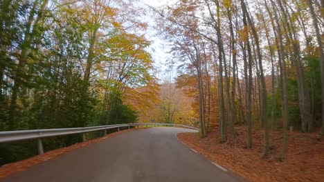 Fahren,-Straße-Entlang-Eines-Waldes,-Bunter-Herbst-Im-Bergwald,-Ockerfarbene-Farben,-Rote-Orangen-Und-Gelbtöne,-Trockene-Blätter,-Schöne-Bilder,-Natur-Ohne-Menschen