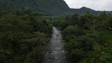 A-river-surrounded-by-jungle-environment-in-the-East-of-Bali-on-a-cloudy-morning,-aerial