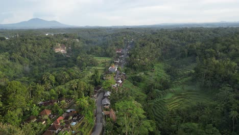 Sonnenlicht-Trifft-Auf-Die-Reisterrassen-In-Der-Nähe-Von-Ubud-Auf-Bali-Mit-Bergen-Im-Hintergrund,-Luftaufnahme