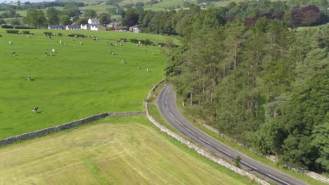 Drone-footage-following-a-car-along-a-winding,-undulating-country-road-in-the-beautiful-Yorkshire,-UK-countryside-over-dirty-stone-walls-and-a-cattle-field,-viewing-farmland-an-trees