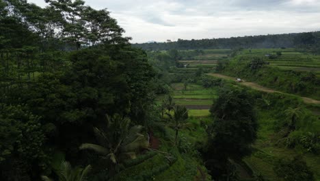 Jungle-surroundings-in-the-heart-of-Bali,-Indonesia-on-a-cloudy-morning,-aerial