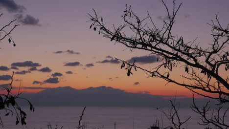 Timelapse-En-Nea-Kallikratia-Grecia-Al-Atardecer-Visto-Rama-De-árbol-Mar-Hermosas-Nubes-Y-Montaña-Del-Olimpo