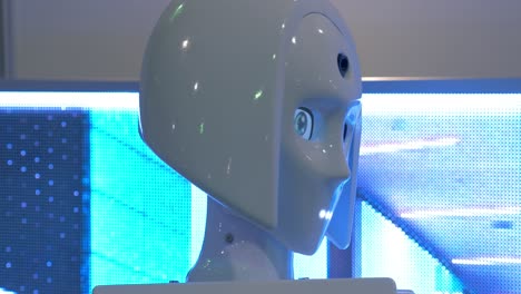 Sprechender-Roboterpromoter-Auf-Der-Robotics-Expo