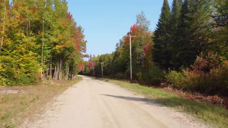 Aerial-car-Point-of-view-along-dirt-road-through-autumn-forest