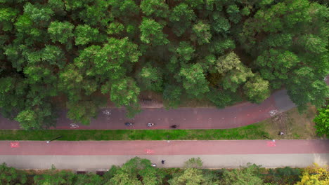 Top-down-view-of-a-cycling-path-in-a-lush-park,-with-cyclists-and-dense-trees