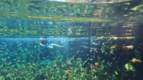 Underwater-shot-of-Person-jumping-in-the-Cenote-Nicte-Ha-crystal-clear-water-in-Mayan-jungle-near-Dos-Ojos-Cenote-in-Tulum,-México