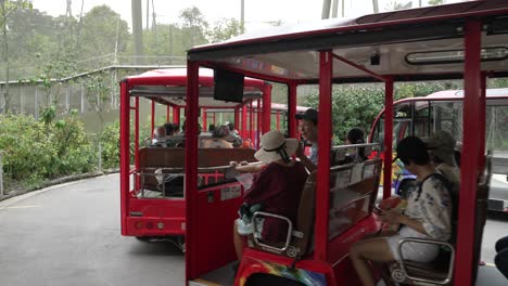 En-El-Parque,-Tren-Lanzadera-Rojo-Con-Visitantes-A-Bordo-En-El-Zoológico-Bird-Paradise-En-Singapur.