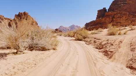 Dry-desert-shrubs-line-white-sandy-track-of-road-path-in-Wadi-Rum