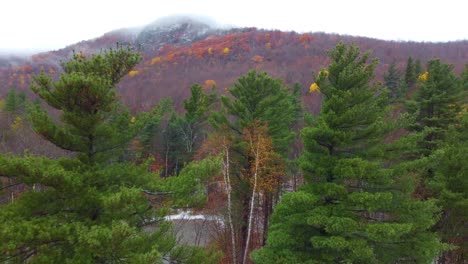 Panoramawald-Auf-Dem-Mount-Washington,-New-Hampshire,-Landschaft,-Herbstfarben,-Luftdrohnenaufnahme
