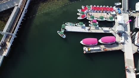 aerial-view-of-eco-boat-rentals