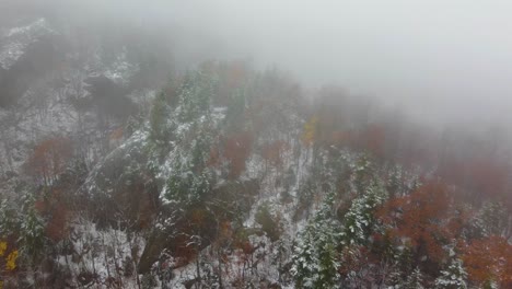 Drone-Shot-of-Rocky-Mountainside-with-Pine-Trees-and-Heavy-Fog-in-the-Fall