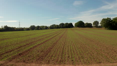 Low-aerial-shot-over-freshly-planted-field